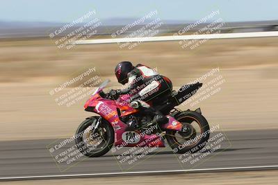 media/Mar-12-2023-SoCal Trackdays (Sun) [[d4c8249724]]/Turn 3 Speed Pans (1115am)/